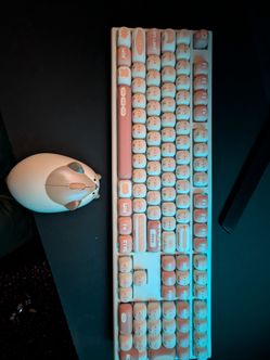 Akko x MonsGeek MG108B "Bun Wonderland" Wireless Mechanical Keyboard + Akko Hamster Wireless Mouse Combo