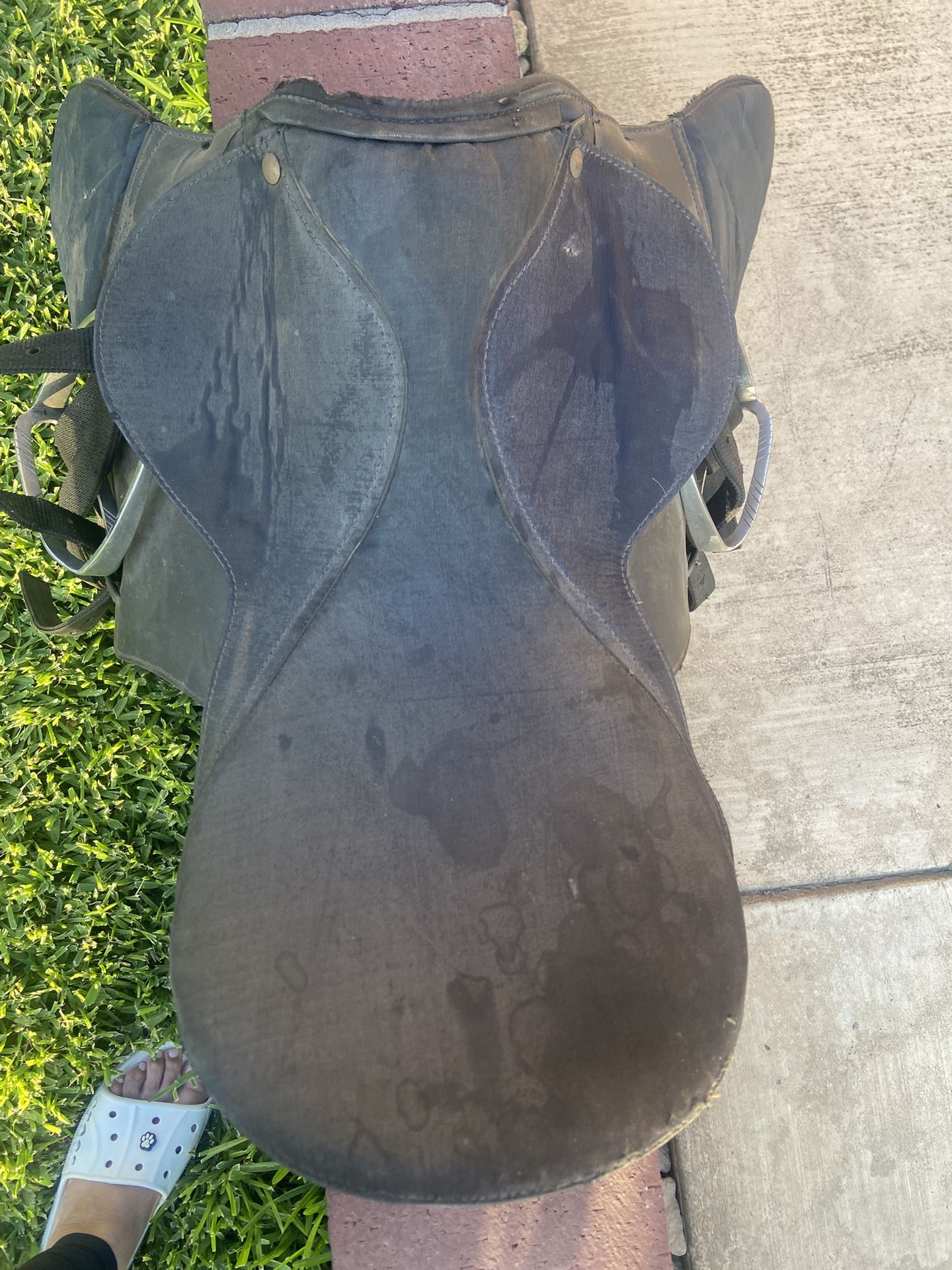 English Riding saddle