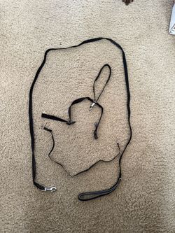 Head collar gentle lead for dogs