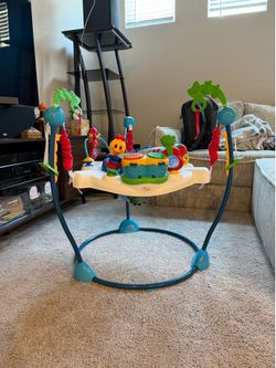 Baby Einstein jumper