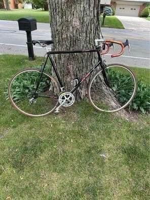 1984 Trek 560 12-speed road bike 24” frame, 24” rims MINT!