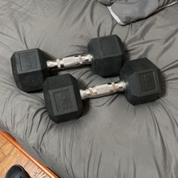 20 Lbs Dumbbells Set Of 2