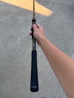 Mega bass levante glide bait rod