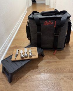 Igloo Cooler- Daytripper Insulated Tote