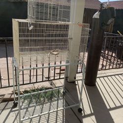 BirdCage