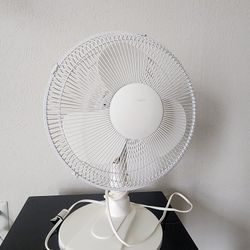 Fan