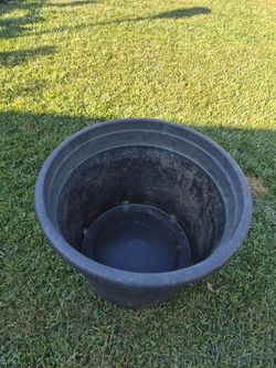 25 gallons pot