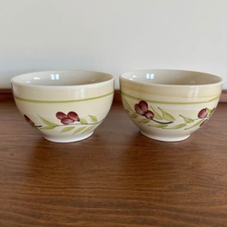 Royal Norfolk Olive Pattern Bowls Set of 2 Stoneware