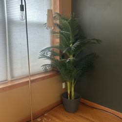 Tall Artificial Tree
