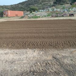 Agriculture