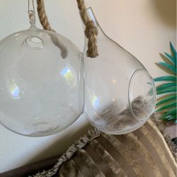 Air Plant Glass Holder Decor/ Hanging Plants