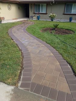 Planter wall pavers and more
