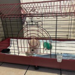 DOG KENNEL 