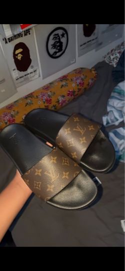 Lv slides
