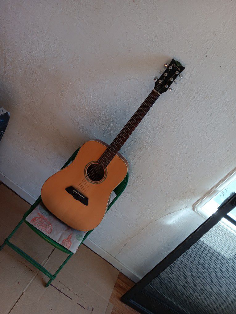 Beautiful Luna Guitar. 