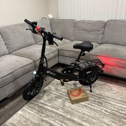 Electric Bike