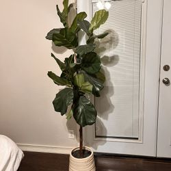 Faux Fiddle Leaf Tree 
