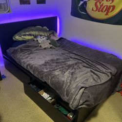 Queen bed + frame