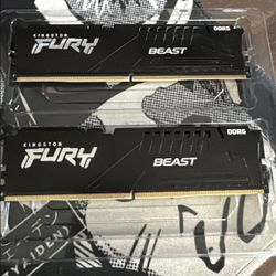 16GB DDR5 Ram