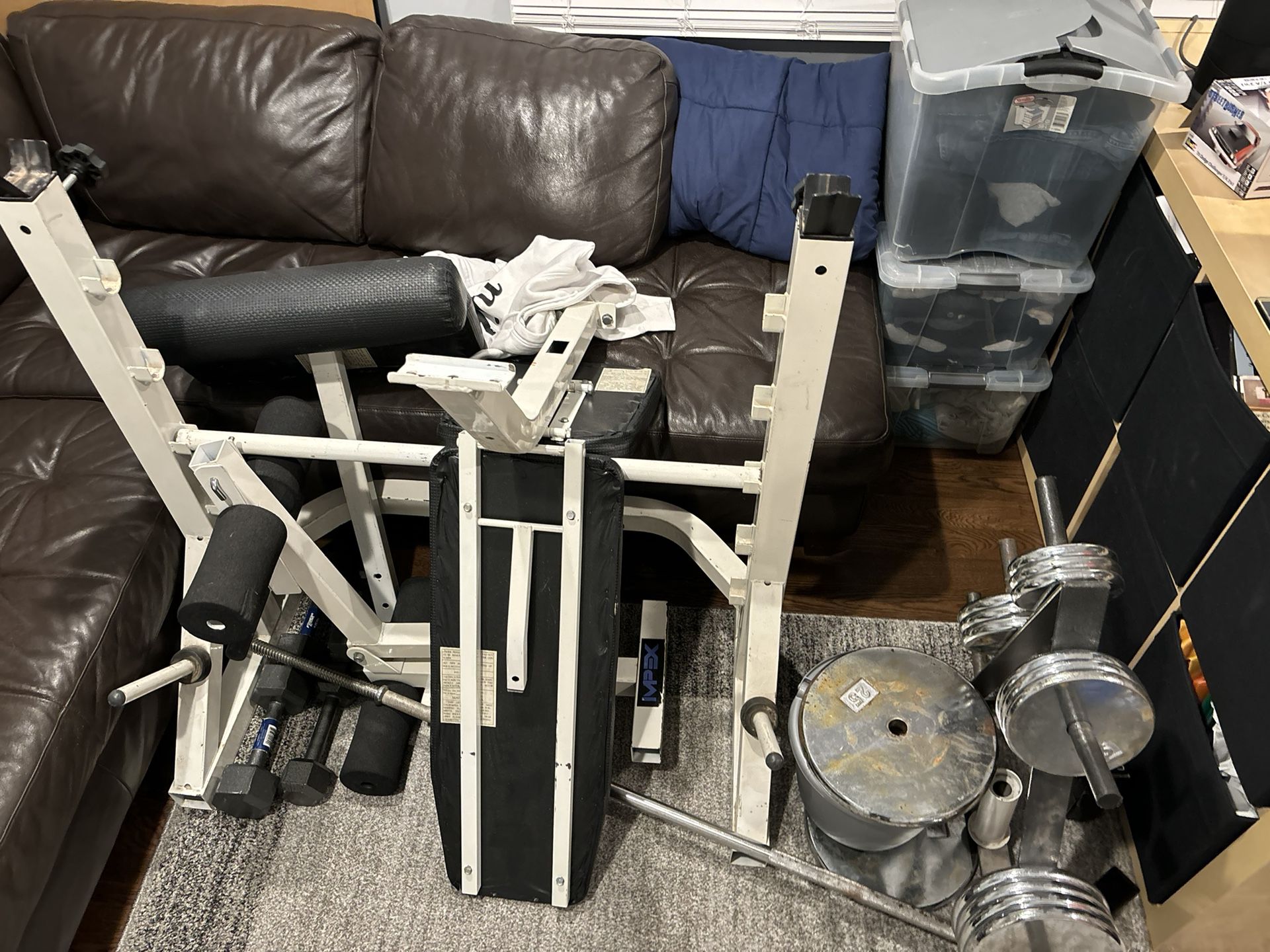 Gym Weight Set and Weight Bench