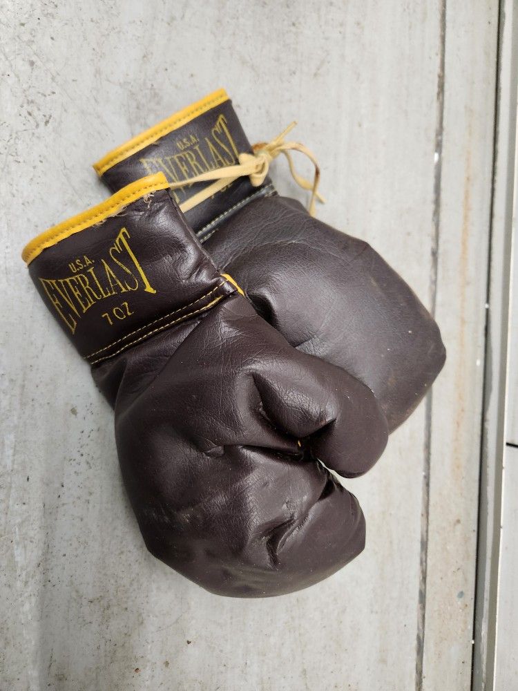 Vintage Boxing Gloves