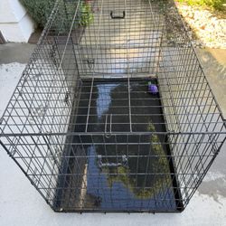 Kennel, Metal Wire Cage
