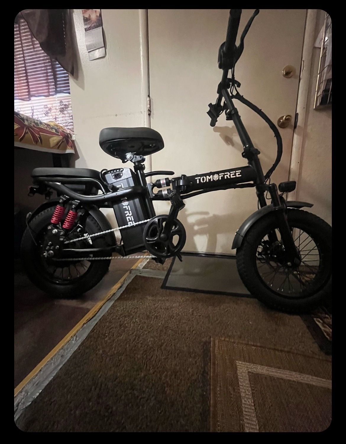Electric E bike