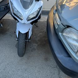 Ninja 300