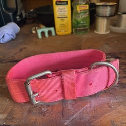 XL Dog Collar