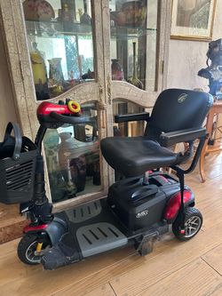Golden Buzzaround EX 4-Wheel Scooter + TriLift Car Mount