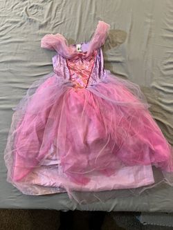 Princess Rapunzel Costume