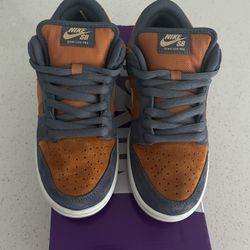 Nike SB Sneakers