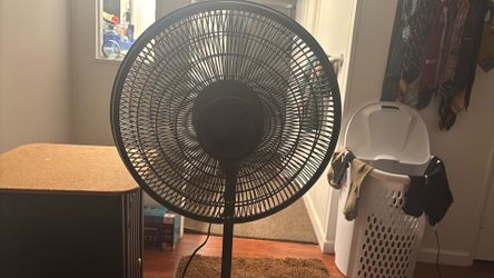 2 floor fans $11 for 1 or 2 for $20