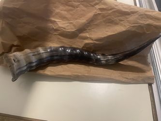 12 1/2” Long Blesbok Horn Original From South Africa