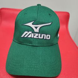 Mizuno Men's Duffy 2018 Green Hats