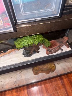 Reptile Tank Decor Set