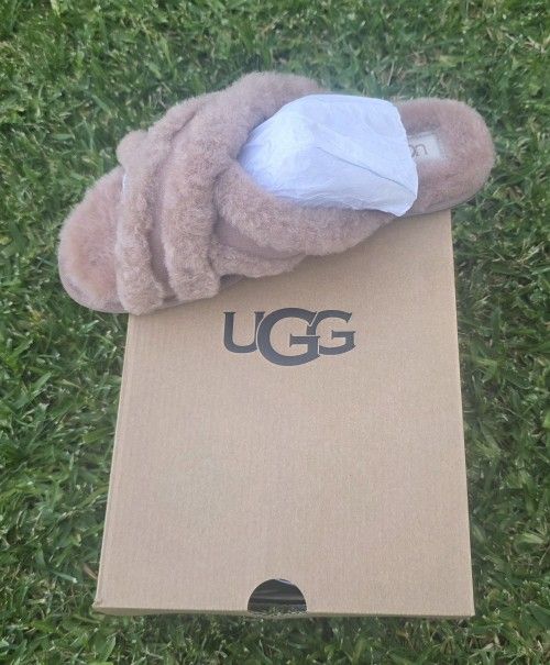 Ugg Slipper 