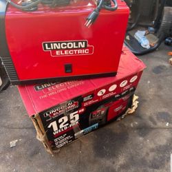 Lincoln Electric 125 Amp Weld - Pak 125 HD Flux - Cored Welder With Magnum 100 L Gun, Flux - Cored Wire , 115 V