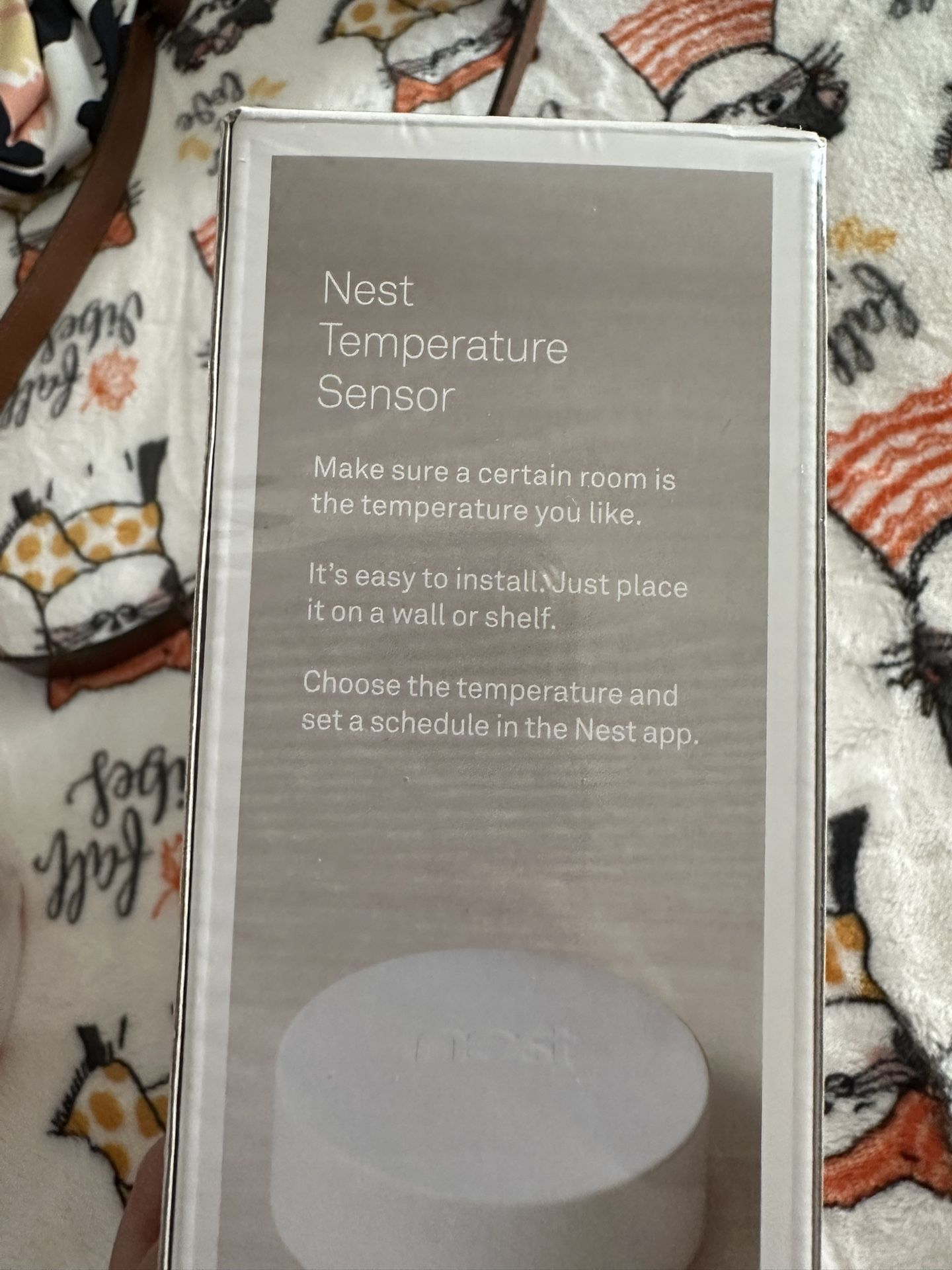 Nest Thermostat E With Temperature Sensor