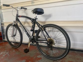 Adult Bicycle