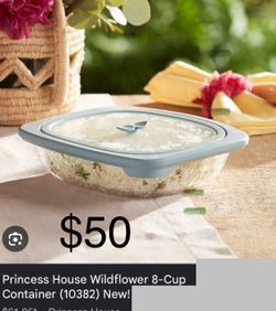 Princess house 8qt storage container