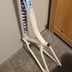 Specialized Bike Frame