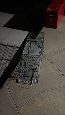 Animal trap