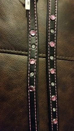 Petco Leather Collar