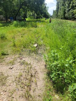 2 connected lots together by Lake