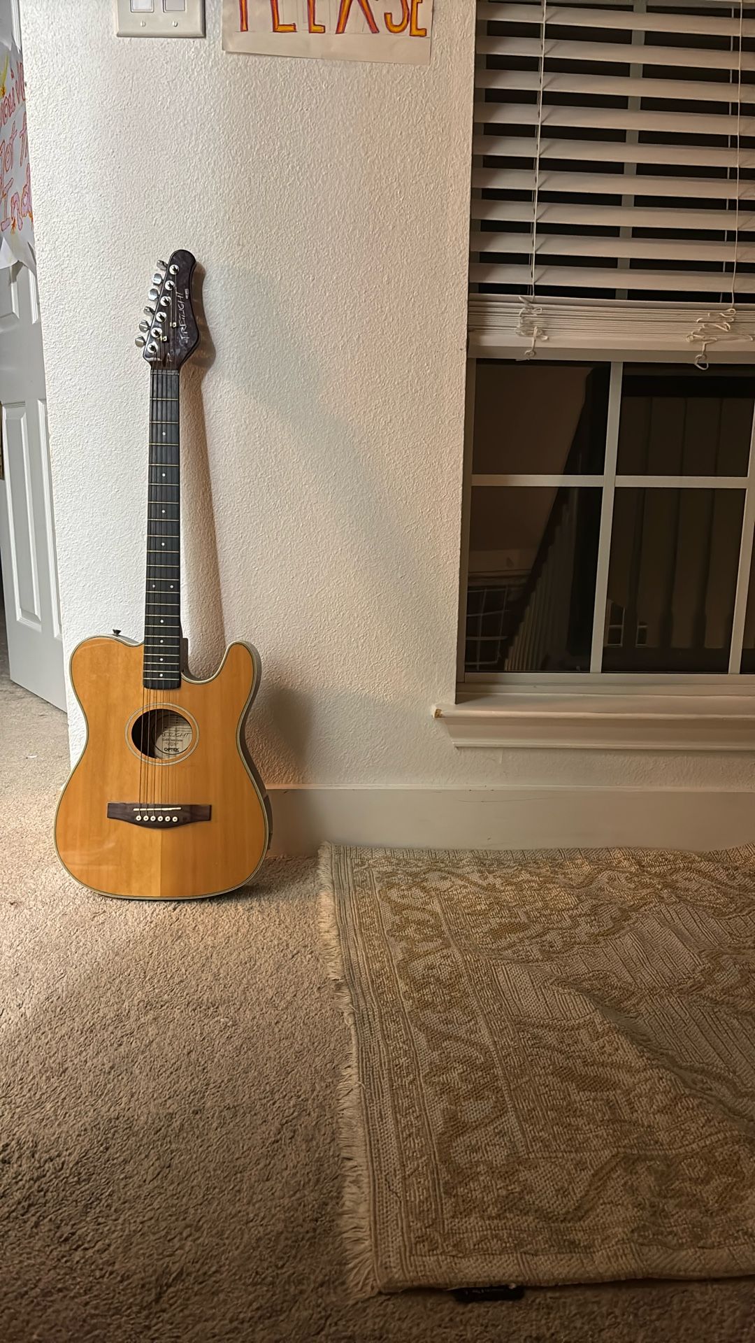Guitar 