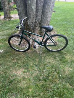26” Raleigh mountain bike (large frame)