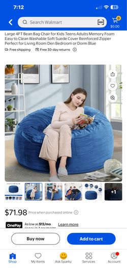4ft bean bag chairs
