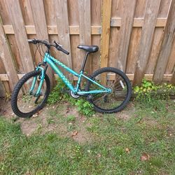 Nishiki Bike