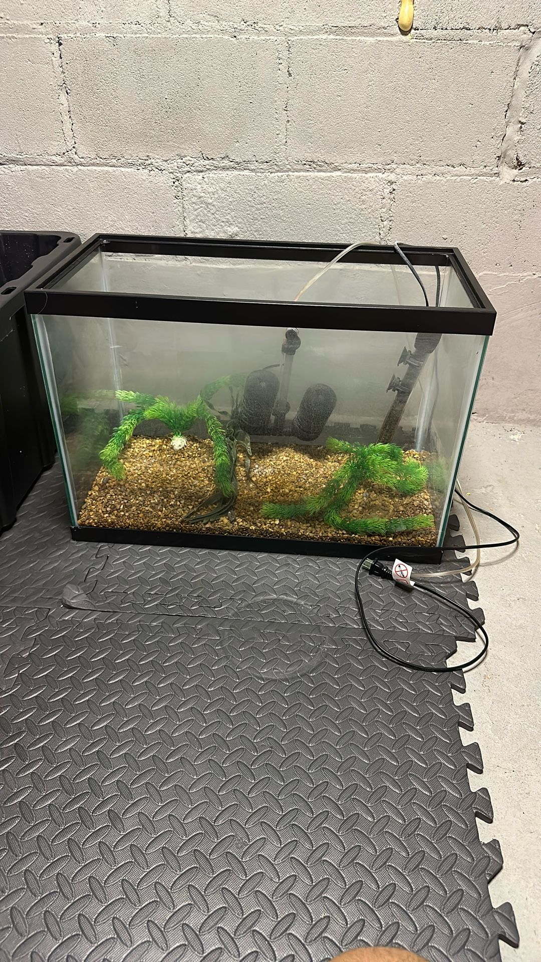 22 Gallon Aquarium with Rocks And More